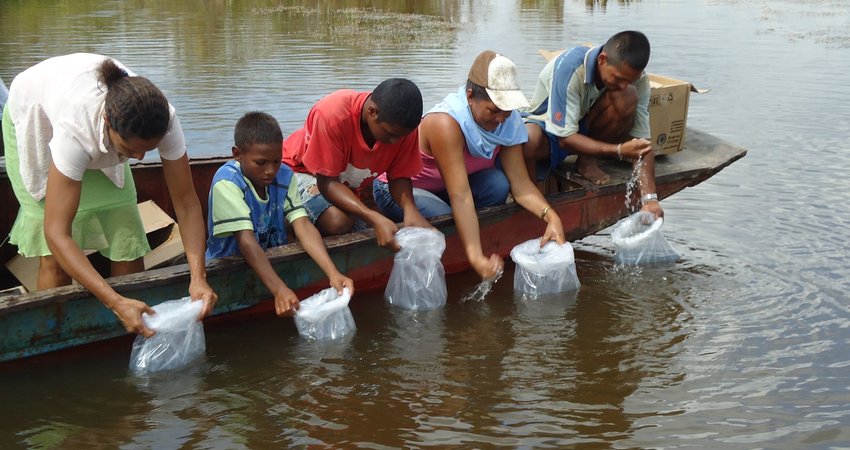 foto_6.jpg__2280x1070_q85_crop_subsampling-2