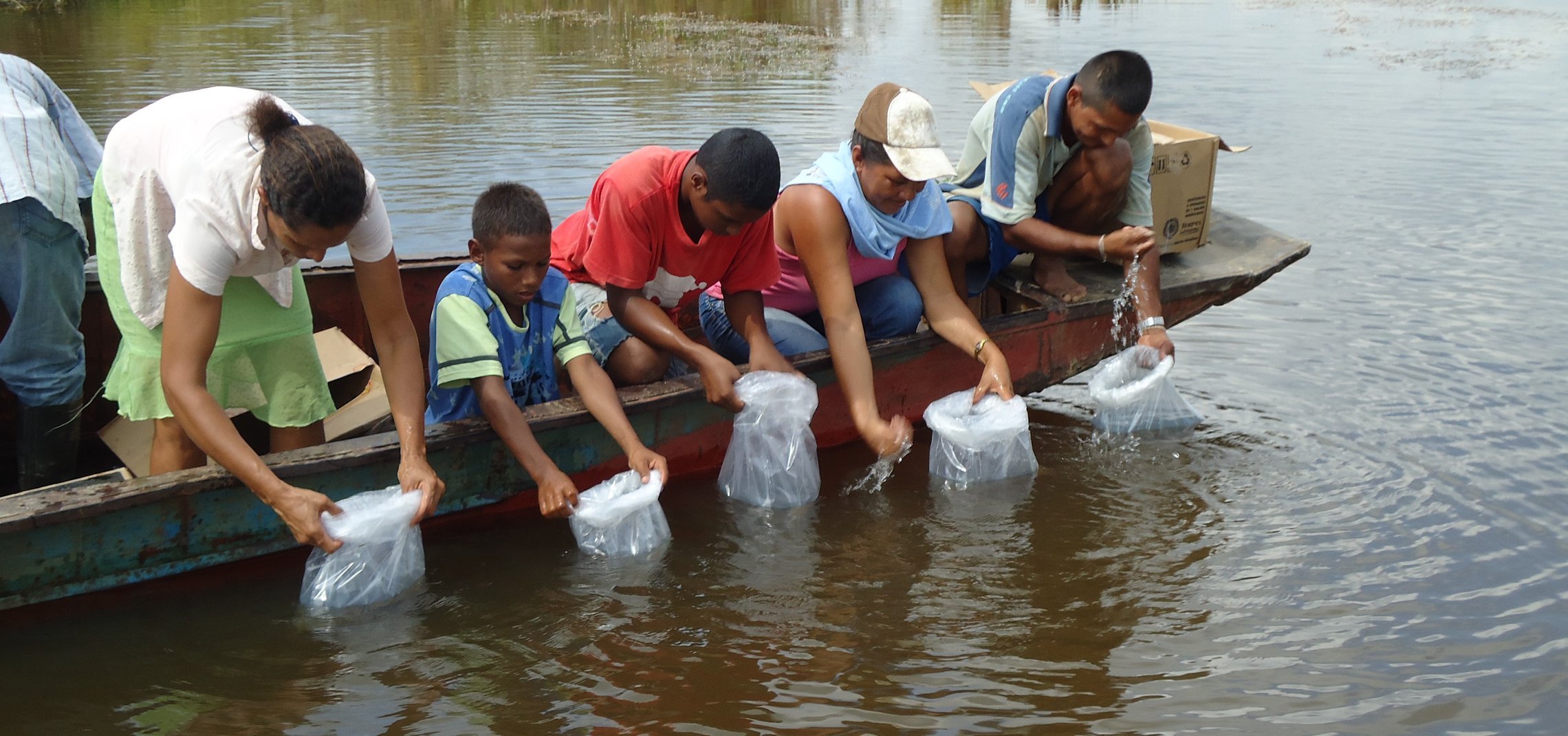 Educación, salud, música y deporte: áreas que apoya el sector minero